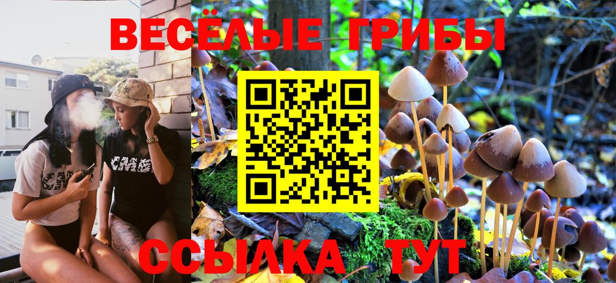 Псилоцибиновые грибы Magic Shrooms  Вход с VPN  Морозовск 